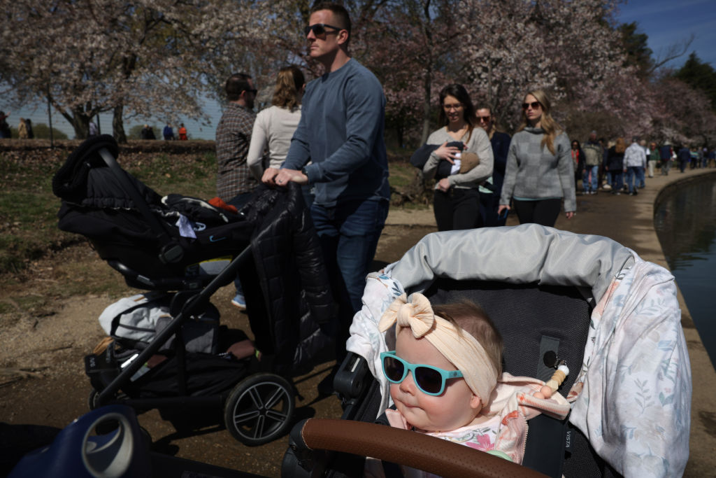 Washington, DC's Famous CherFamilies visit cherry blossoms around the Tidal Basin in Washington, D.C., on March 21, 2023.ry Blossom Trees Threatened By Climate Change And Rising Tides