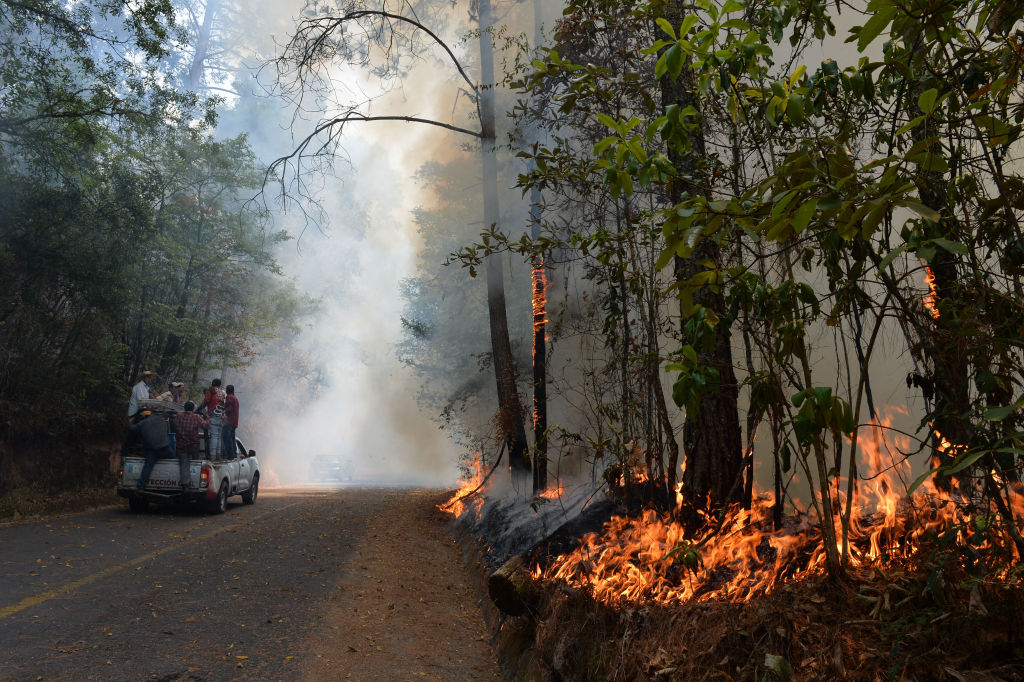 Mexico Is Fighting Over 100 Active Wildfires Amid a Heat Wave